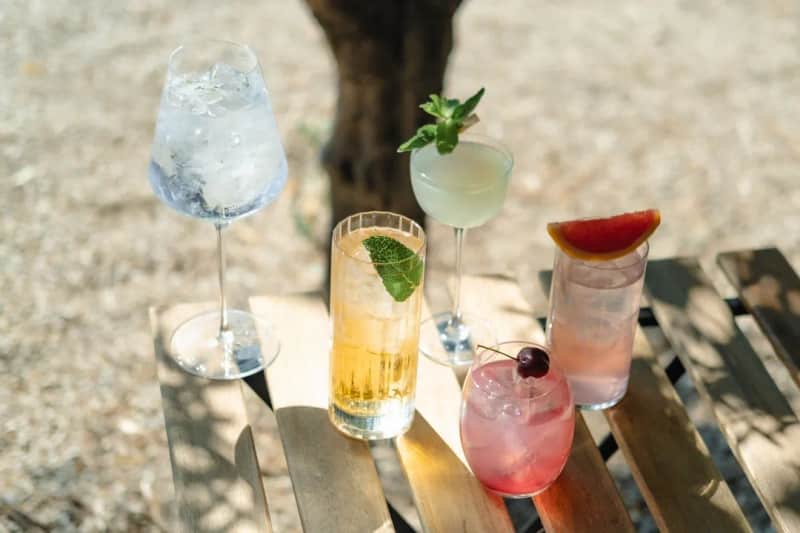Gin Tasting unterm Fernsehturm