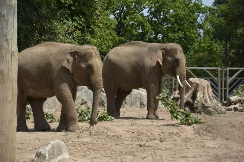 Exclusive Zoo Tours