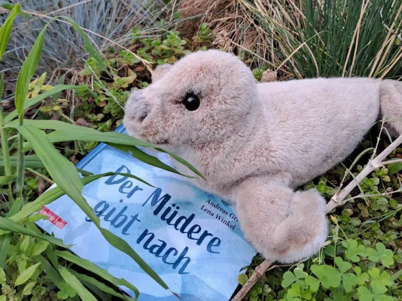 Kuscheltier-Übernachtung und Abholung der Kuscheltiere