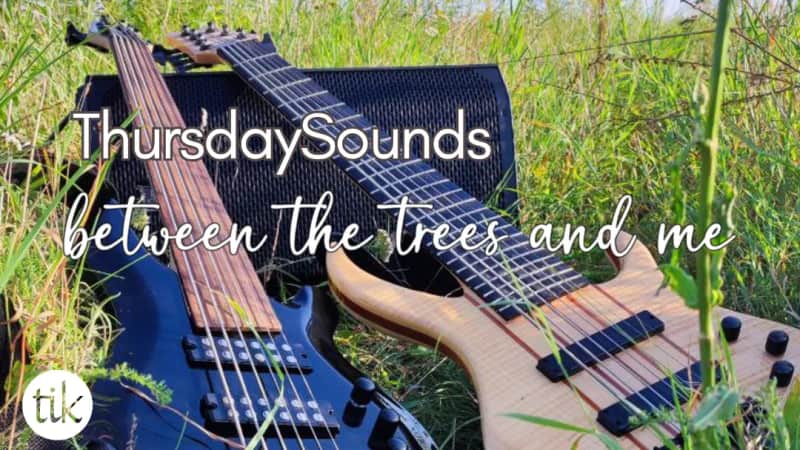 between the trees and me @ ThursdaySounds
