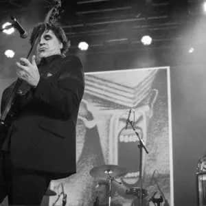 Chameleons @ Lido