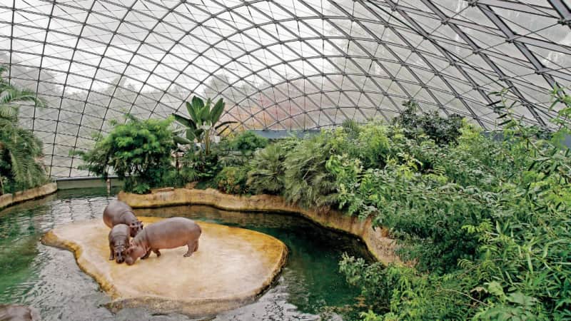 Event im Flusspferdhaus
