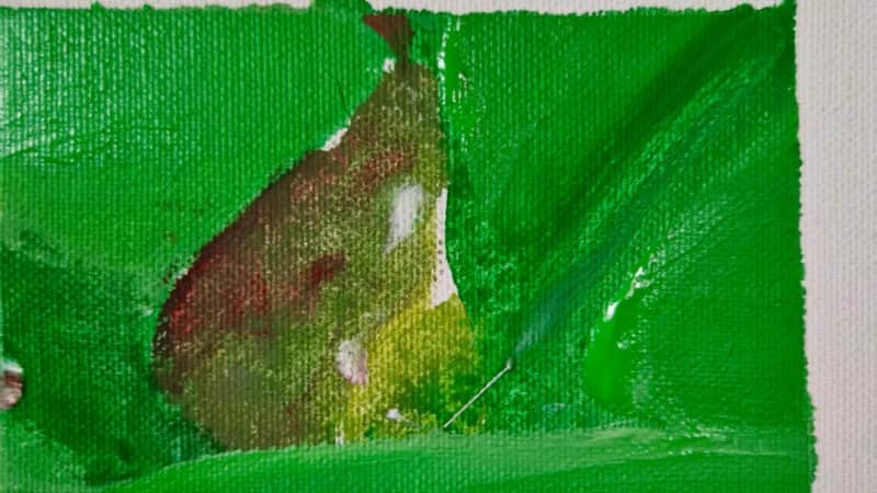 From Object to Image: A Pear Can Be Many Things