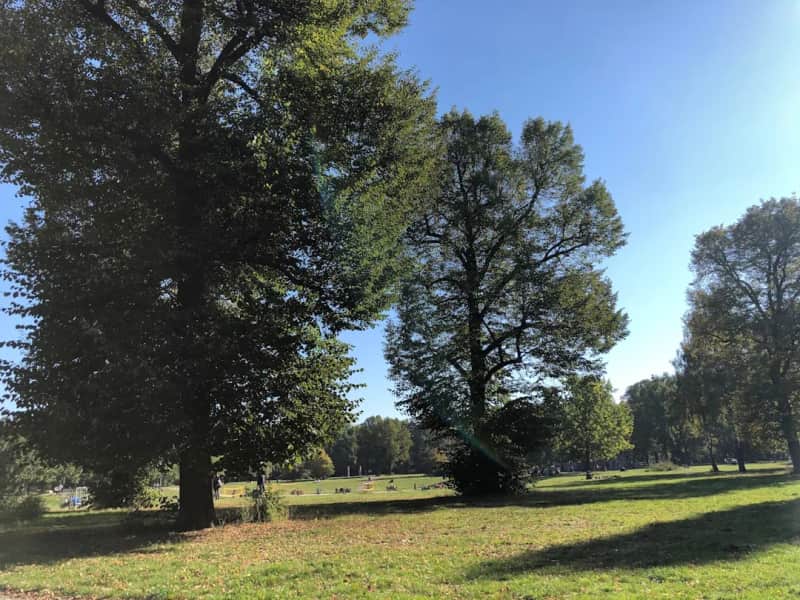 Gentle Yoga, Bosepark
