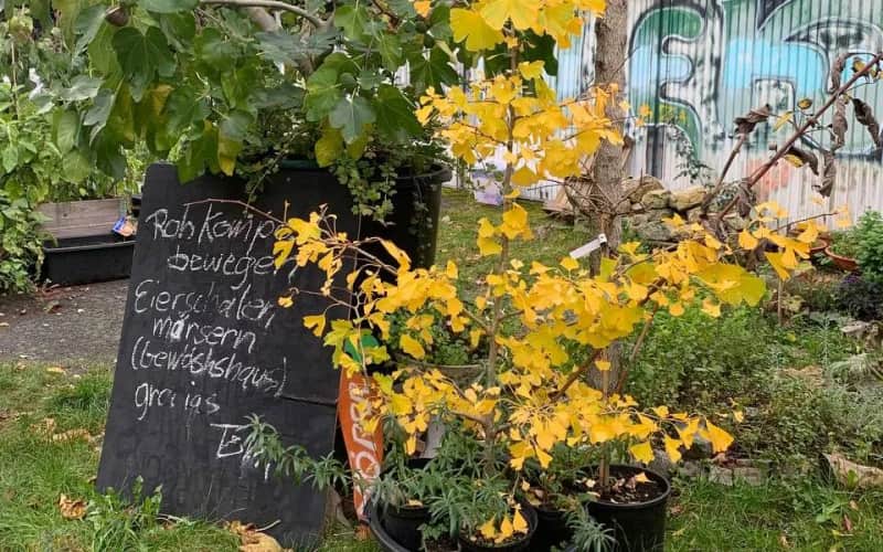 Offener Gartentag im Rollberg Paradise