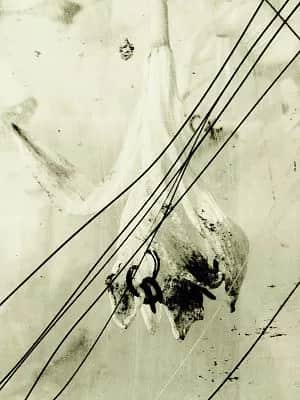 Lawrence Carroll & Martin Disler Opening