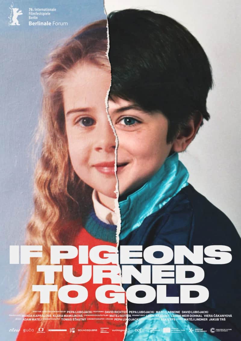 IF PIGEONS TURNED TO GOLD