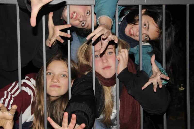 Junge Bühne im Palais: Jugendensemble & Theaterkurs