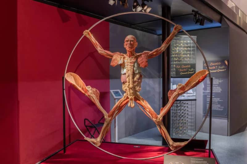 BODY WORLDS Houston