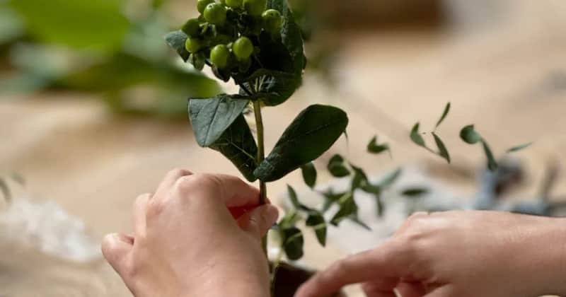 IKEBANA WORKSHOPS with Youco / Studio Mitte @ Alte Münze