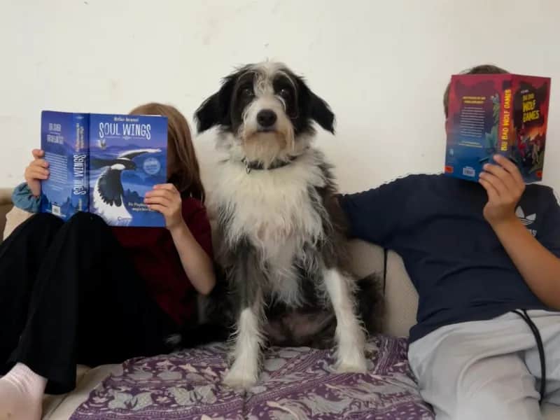 Tiergestütze Leseförderung - Entspannt Lesen üben mit Vorlesehund Chess