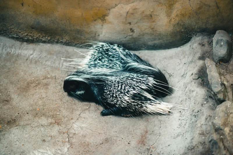Berlinische Galerie: Tastführung (Inklusiv)