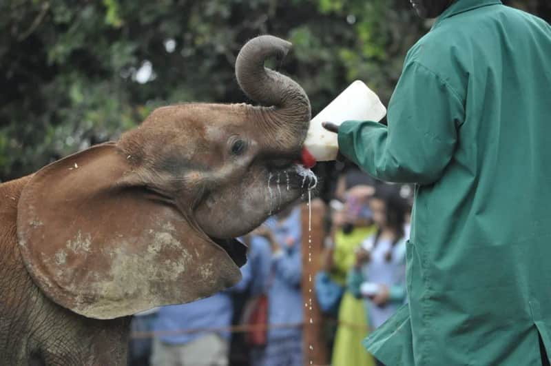Zoo Berlin: Individuelle Zoo-Führung buchen
