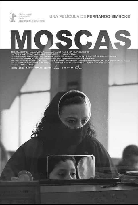 Moscas