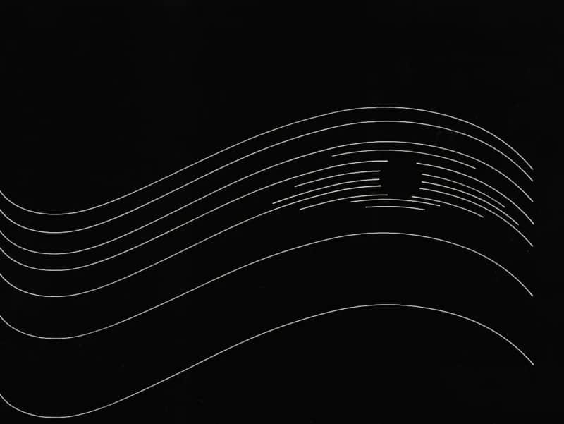 Shahin Zarinbal: Upcoming Exhibition