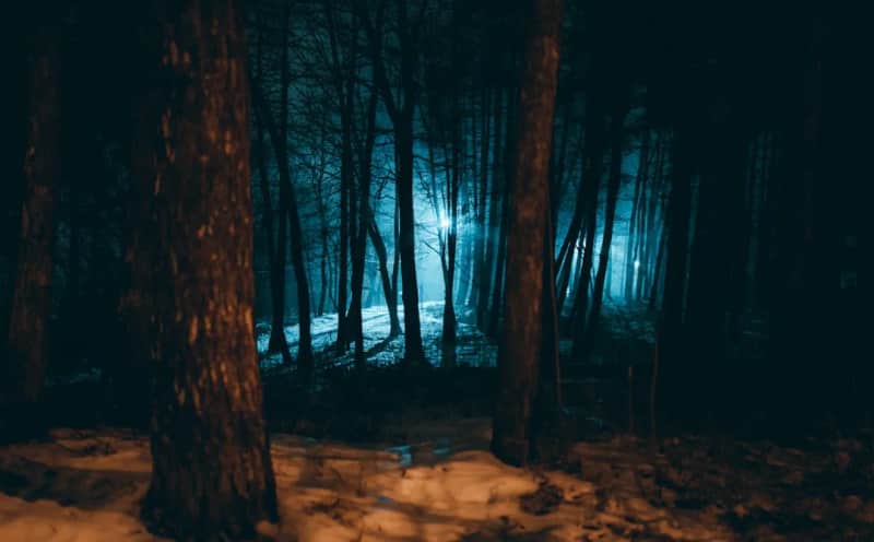 DIY MitMachMittwoch: Werwölfe von Düsterwald
