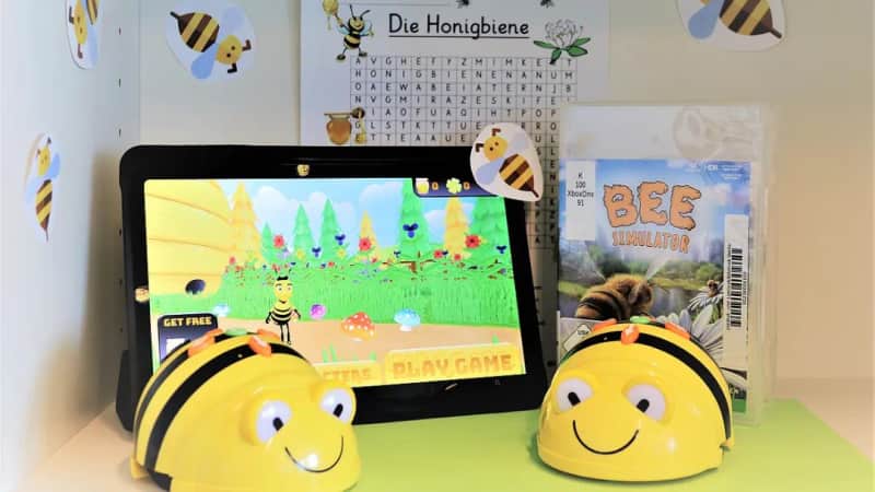 Workshop Die Welt der Bienen | Workshop für Schulklassen