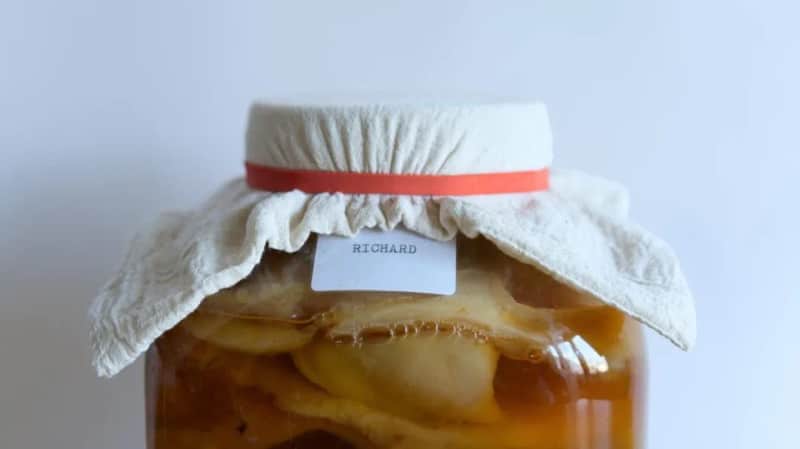 Fermenta Collective: kombucha in the jar