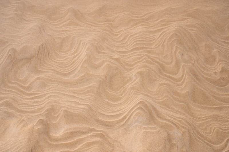 Herbst-Impressionen aus Sand mit Shahla Aghapour