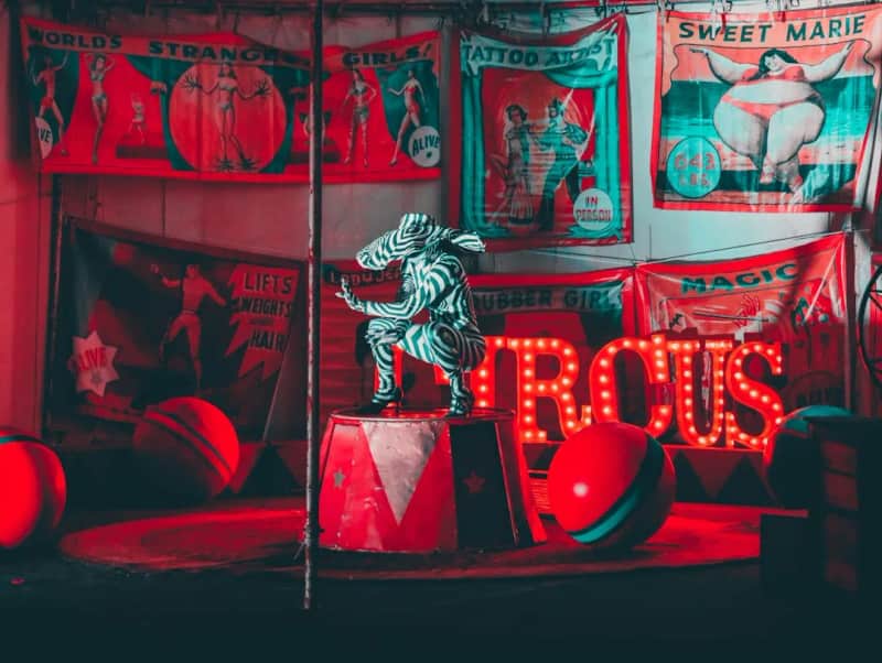 Circus Berolina in Berlin